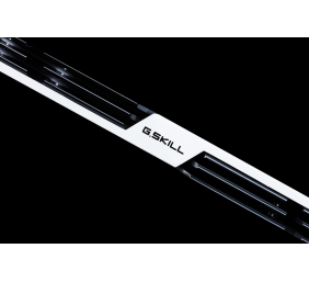 G.SKILL F4-3600C16D-16GTZSW G.Skill Trid