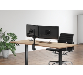 NewStar LCD/TFT desk mount, 10-24", clamp & grommet, 2 screens, black