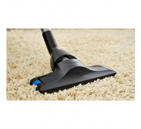 Philips | Vacuum cleaner PowerPro Expert | FC9744/09 | Bagless | Power 650 W | Dust capacity 2 L | Green