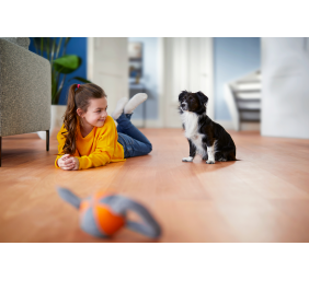 Philips | Vacuum cleaner PowerPro Expert | FC9744/09 | Bagless | Power 650 W | Dust capacity 2 L | Green