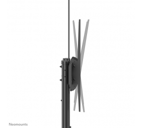 Neomounts Floor stand | PLASMA-M1950E TV trolley | Adjustable Height, Tilt | 60-100 " | Maximum weight (capacity) 100 kg | Black