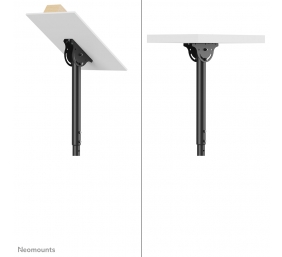NEWSTAR NM-C440BLACK FLAT SCREEN CEILING MOUNT