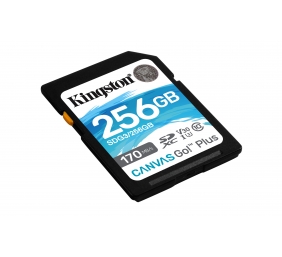 Kingston | Canvas Go! Plus | 256 GB | Flash memory class 10