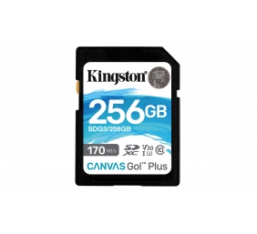 Kingston | Canvas Go! Plus | 256 GB | Flash memory class 10