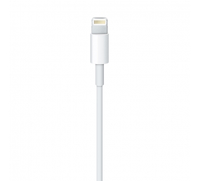 Apple Lightning krovimo kabelis USB (1 m)  (MXLY2ZM/A)