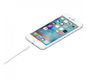 Apple Lightning krovimo kabelis USB (1 m)  (MXLY2ZM/A)