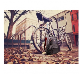 PORT DESIGNS | Houston | Fits up to size 15.6 " | Backpack | Black | Shoulder strap