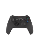 Genesis | PV58