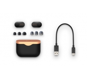 Sony WF1000XM3B.CE7 Wireless Noise-Canceling Headphones