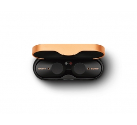 Sony WF1000XM3B.CE7 Wireless Noise-Canceling Headphones
