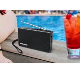 Muse | M-030R | 2-band portable radio | Black