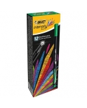 Bic Rašiklis Fineliners Intensity Fine, žalias, pakuotėje 12 vnt. 449190