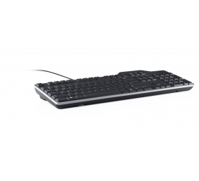 Dell | KB813 | Smartcard keyboard | Wired | Russian | Black