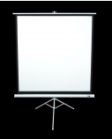 Elite Screens | Tripod Series | T113NWS1 | Diagonal 113 " | 1:1 | Viewable screen width (W) 203 cm | White
