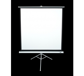 T113NWS1 | Tripod Series | Diagonal 113 " | 1:1 | Viewable screen width (W) 203 cm | White