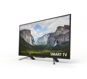 Sony KDL-43WF665  43" (108 cm), Smart TV, FHD, 1920 x 1080 pixels, Wi-Fi, DVB-C, DVB-S/S2, DVB-T/T2, Black