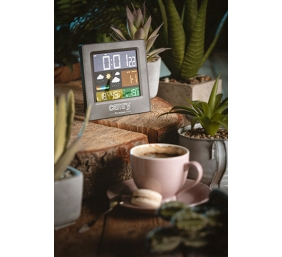 Camry | Weather station | CR 1166 | Black | Date display