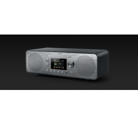 Muse | Radio | M-885 DBT | AUX in | Grey