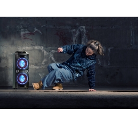 Sharp PS-940 Party Speaker System