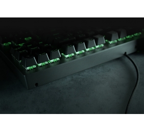 Razer Blackwidow V3 Tenkeyless Laidinė žaidimų klaviatūra, RGB LED, USB, US, Green Switch, Juoda