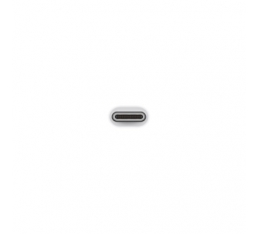 Apple | USB-C to USB adapter | MJ1M2ZM/A | USB C | USB A