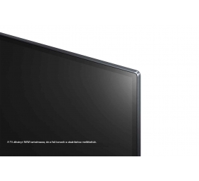 LG OLED55GX3LA 55" (139 cm) 4K Ultra HD Smart OLED TV