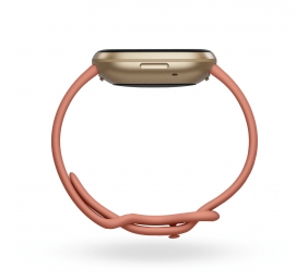 Fitbit Versa 3 Smart watch NFC GPS (satellite) AMOLED Touchscreen Activity monitoring 24/7 Waterproof Bluetooth Wi-Fi Pink Clay/Soft Gold Aluminum