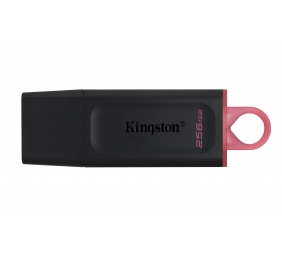 Kingston | USB Flash Drive | DataTraveler Exodia | 256 GB | USB 3.2 Gen 1 | Black