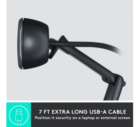 Logitech C505 HD Internetinė kamera HD 1280x720, USB, Graphite