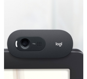 Logitech C505 HD Internetinė kamera HD 1280x720, USB, Graphite