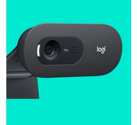 Internetinė kamera Logitech C505 HD USB  (960-001364),
