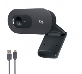 Logitech C505 HD Internetinė kamera HD 1280x720, USB, Graphite