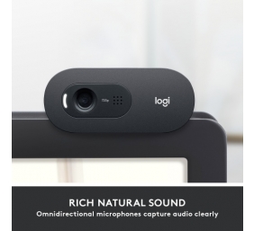 Logitech C505 HD Internetinė kamera HD 1280x720, USB, Graphite