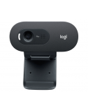 Logitech C505 HD Internetinė kamera HD 1280x720, USB, Graphite