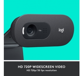 Logitech C505 HD Internetinė kamera HD 1280x720, USB, Graphite