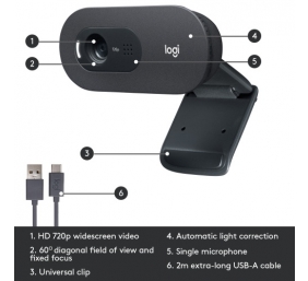 Logitech C505 HD Internetinė kamera HD 1280x720, USB, Graphite