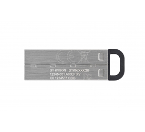 Kingston | USB Flash Drive | DataTraveler Kyson | 256 GB | Type-A USB 3.2 Gen 1 | Silver