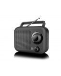 New-One | Portable radio 2 ranges | R210