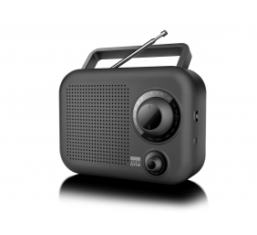 New-One | Portable radio 2 ranges | R210