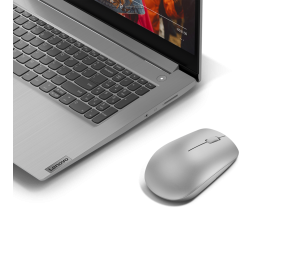 Lenovo | Wireless Mouse | 530 | Optical Mouse | 2.4 GHz Wireless via Nano USB | Platinum Grey | 1 year(s)