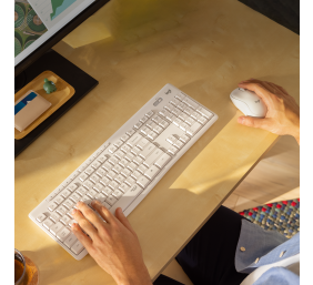 Klaviatūra belaidė Logitech Silent Wireless MK295, Balta