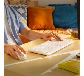 Klaviatūra belaidė Logitech Silent Wireless MK295, Balta