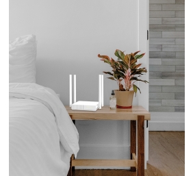 TP-Link Archer C24 AC750 Dual Band Wi-Fi Maršrutizatorius