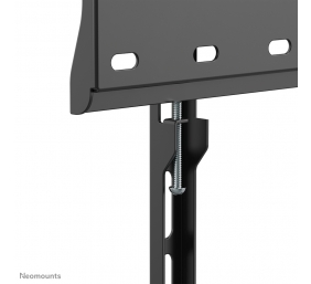 Flat Screen