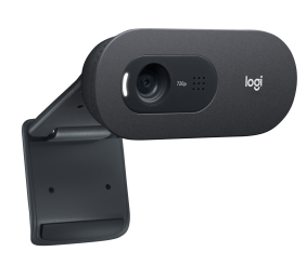 Internetinė kamera Logitech C505e HD Webcam (960-001372), , juoda