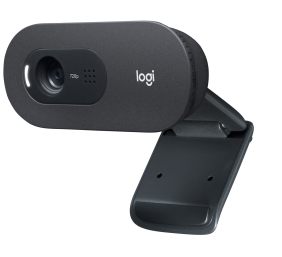 Internetinė kamera Logitech C505e HD Webcam (960-001372), , juoda