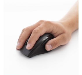 Logitech | Marathon Mouse | M705 | Wireless | USB | Black